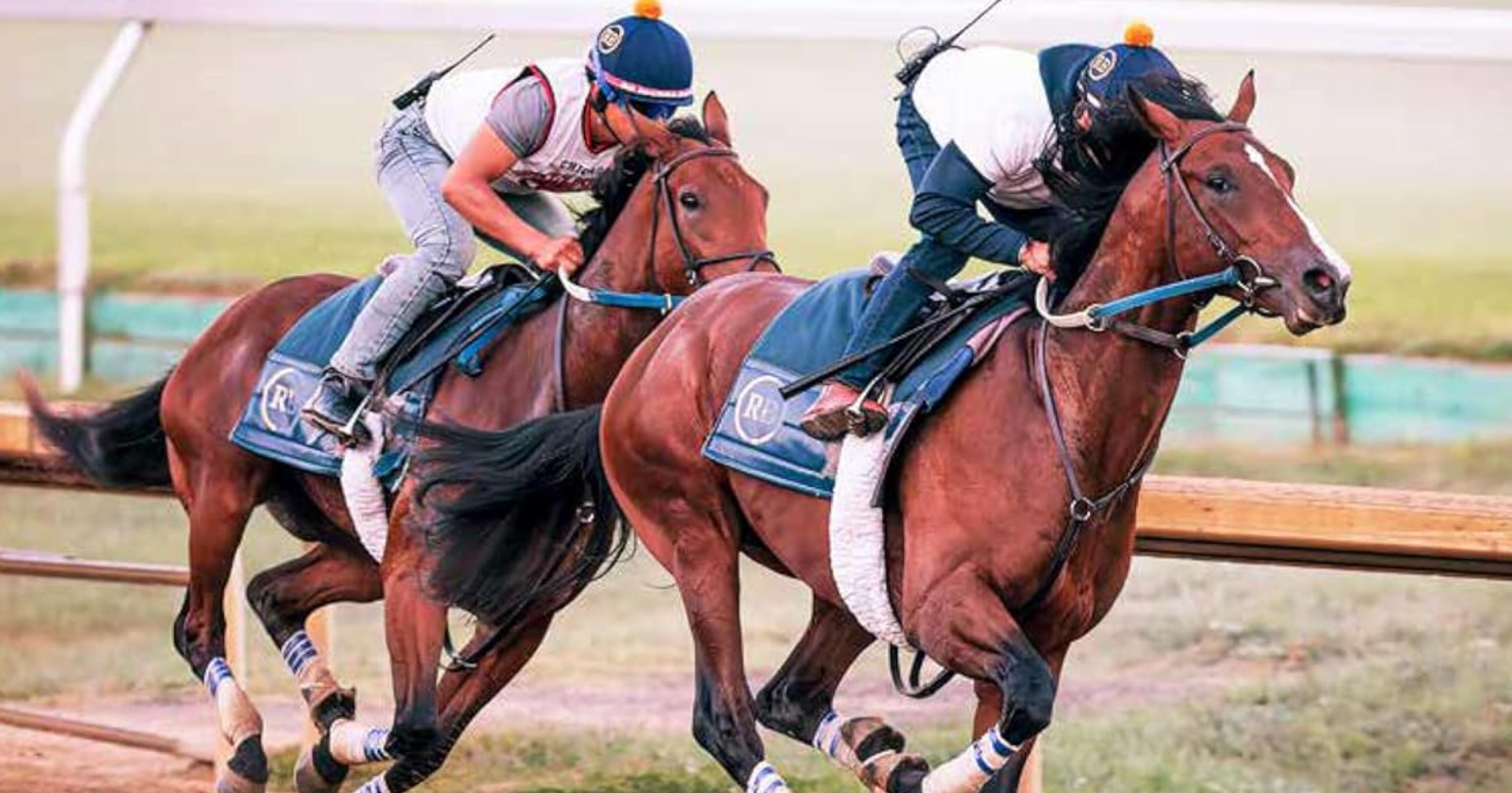Understanding the Horse Behind the Race Record