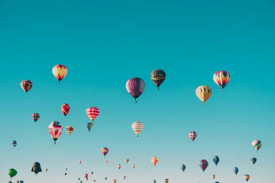 Mastering Self-Regulation: A Book Guide