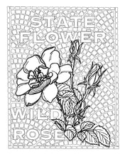 The New York State Coloring Book