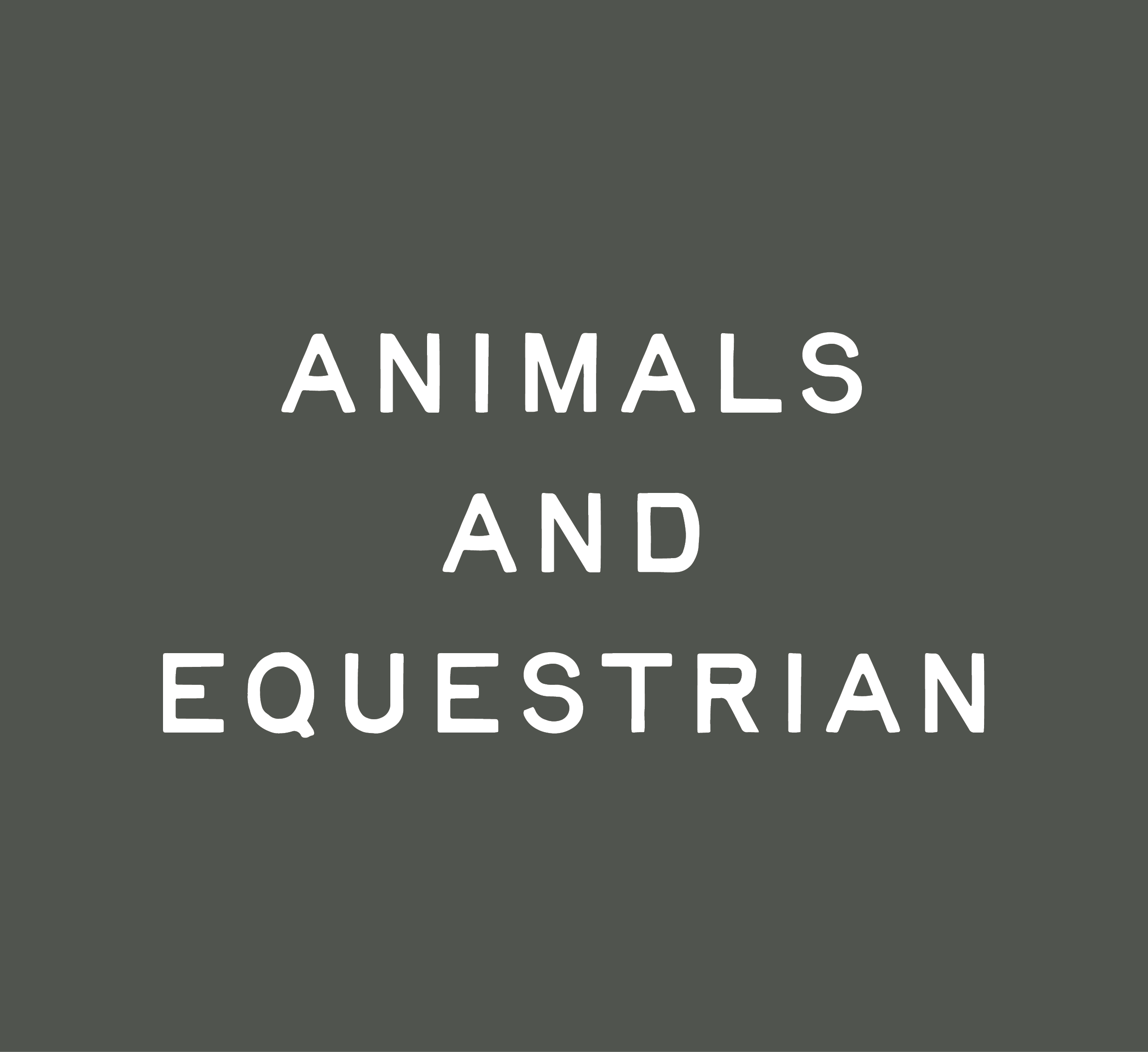 Animals books