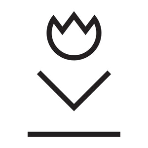 
          
            Ulysses Press
          
        