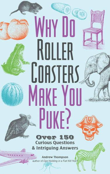Why Do Roller Coasters Make You Puke – Stable Book Group