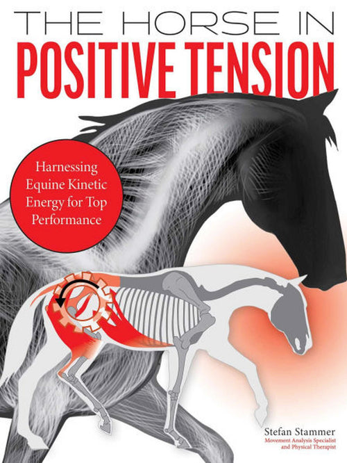 Horse in Positive Tension