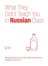 What They Didn't Teach You in Russian Class