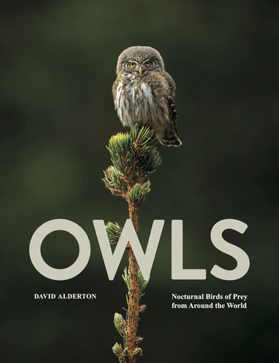 Owls