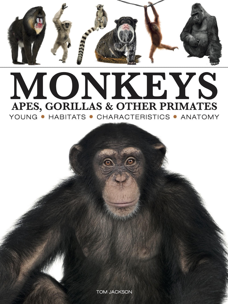 Monkeys