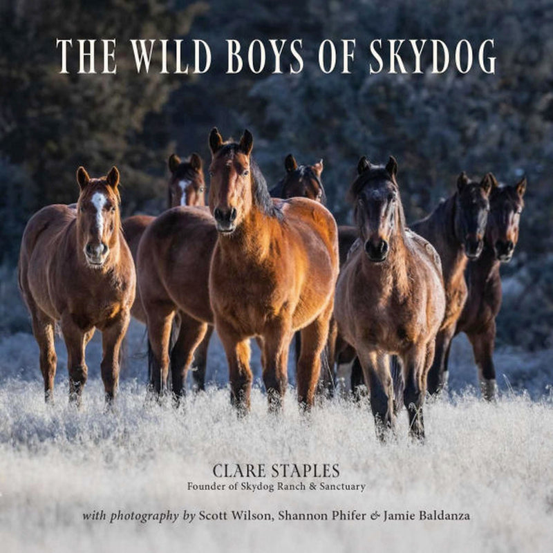 Wild Boys of Skydog