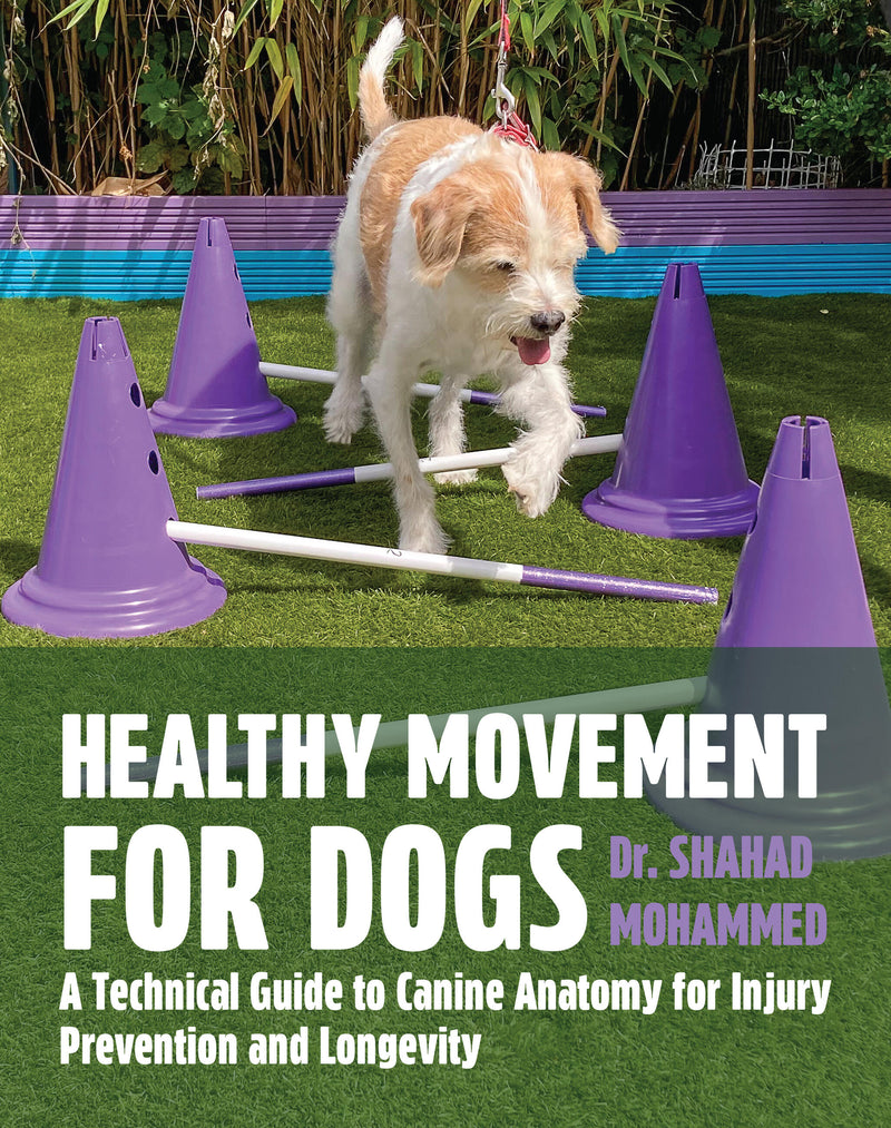 Healthy Movement For Dogs