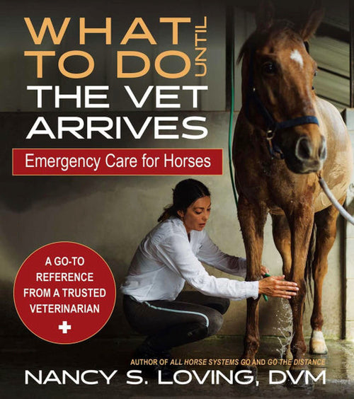 What to Do Until the Vet Arrives
