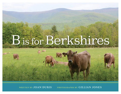 B is for Berkshires