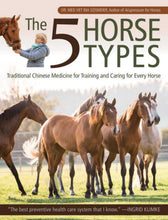 5 Horse Types