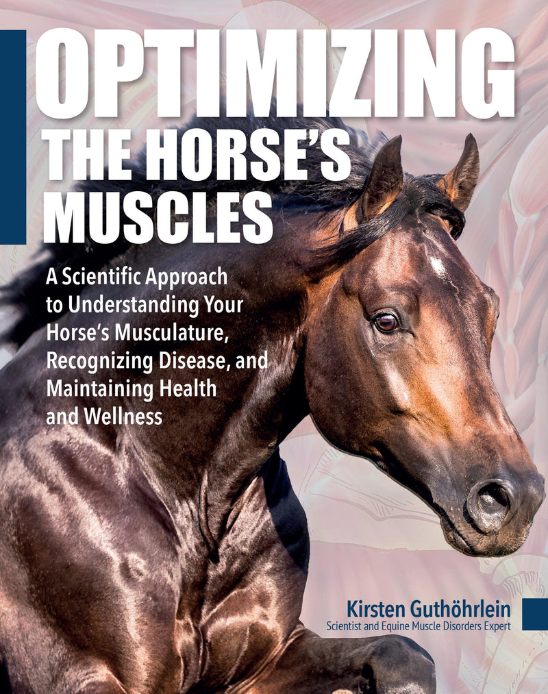 Optimizing the Horse's Muscles