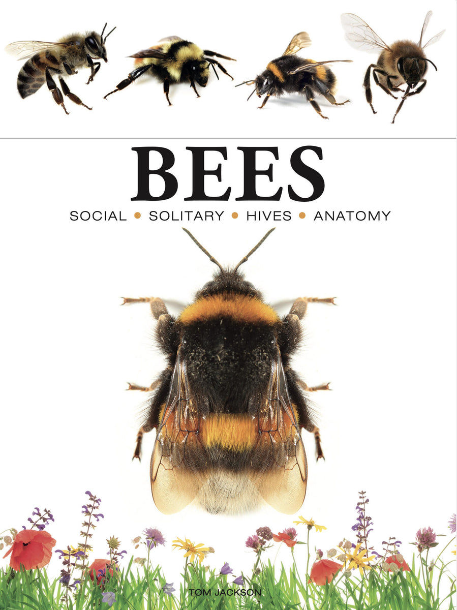 Bees – Stable Book Group
