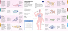 Foldout Anatomy - Interior 10