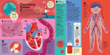 The Interactive Human Body - Interior 10