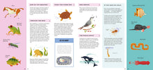 Foldout Anatomy - Interior 11