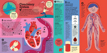 The Interactive Human Body - Interior 11
