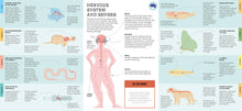 Foldout Anatomy - Interior 12