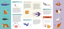 Foldout Anatomy - Interior 13