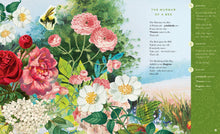The Illustrated Emily Dickinson - Interior 13