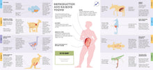 Foldout Anatomy - Interior 14