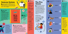 The Interactive Human Body - Interior 14