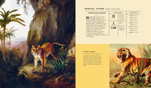Mammalia - Interior 15