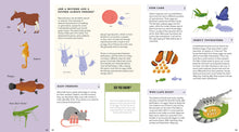 Foldout Anatomy - Interior 15