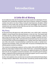 The Little Book of Plastic Lace Crafts - Interior 1