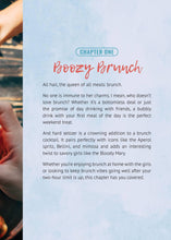 The Hard Seltzer Cocktail Book - Interior 1
