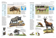 Encyclopedia of Animals - Interior 1