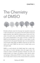 Healing with DMSO - Interior 1