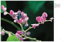 Bees - Interior 1