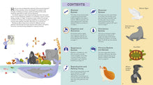 Foldout Anatomy - Interior 1
