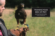 Falconry - Interior 1