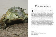 Crocodiles, Alligators & Lizards - Interior 1