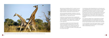 Sex and the Animals - Interior 1