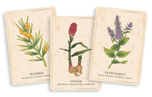 The Herbal Tea Magic for the Modern Witch Oracle Deck - Interior 1