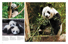 Endangered Animals - Interior 1