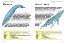 Mammals - Interior 1