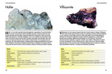 Minerals and Gemstones - Interior 1