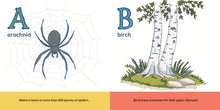 The Maine ABCs - Interior 1