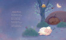 Starry Blankets - Interior 1