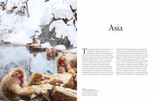 Winter - Interior 1