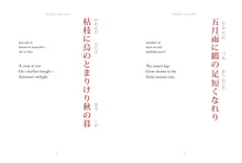 Haiku - Interior 1