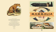Mammalia - Interior 1