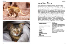 Cat Breeds - Interior 1