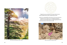 The Prophet Illustrated - Interior 1