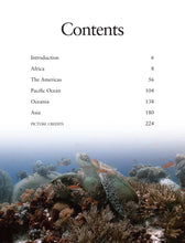 Reefs - Interior 1