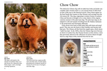 Dog Breeds - Interior 1